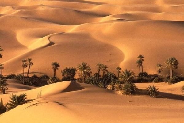 Bahariya-Oasis-550x450